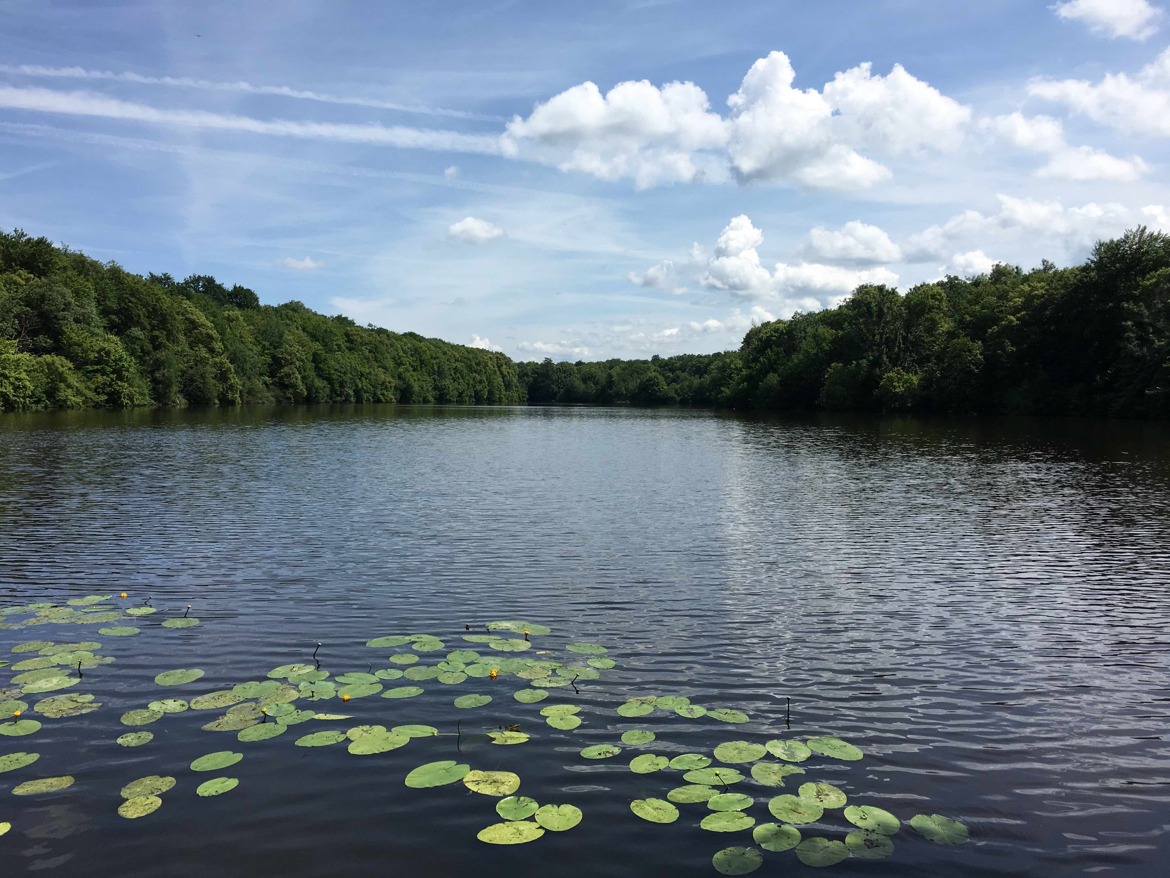 Crossing the Chantilly forest