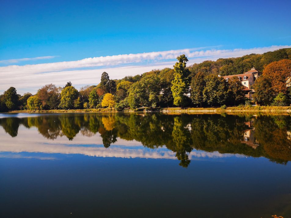 Forêt de Fausses-Reposes