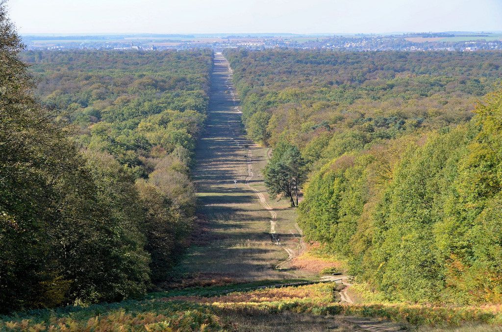 Forêt de Compiègne