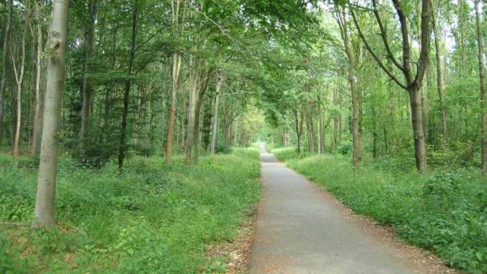 From Saint-Germain to Maisons-Laffitte