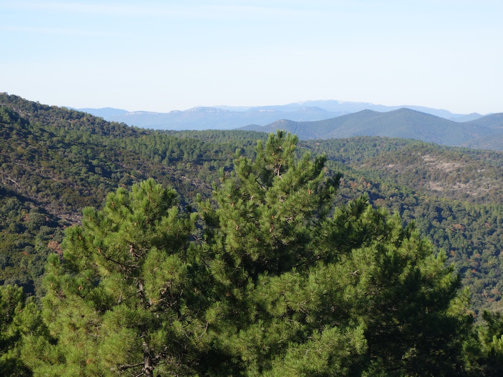 Crêtes de la Chartreuse de la Verne