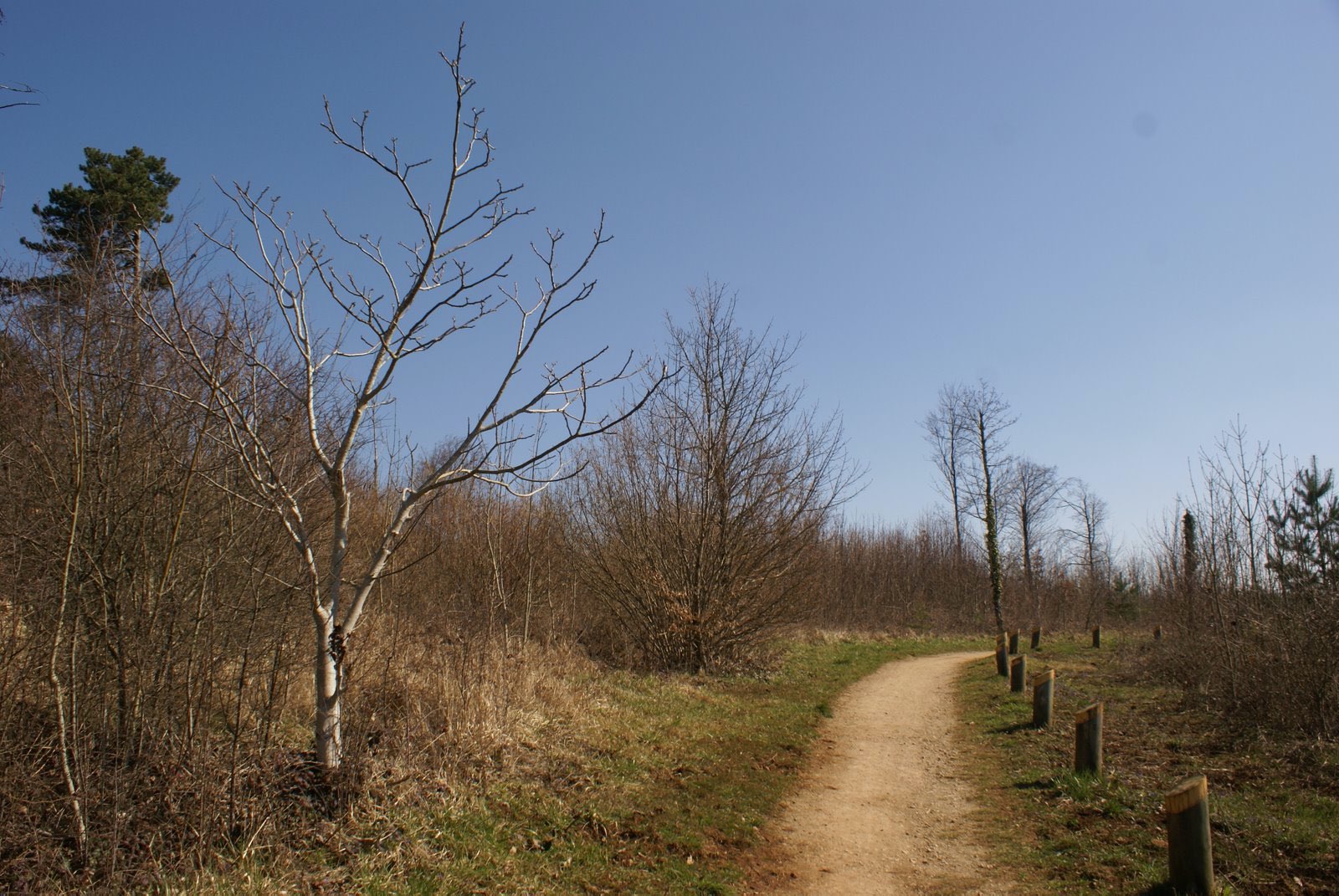 Plateau de Malzeville