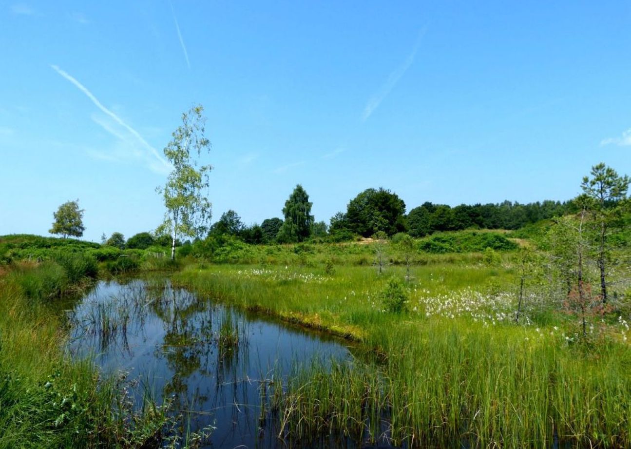 Circuit d'Esmoulières