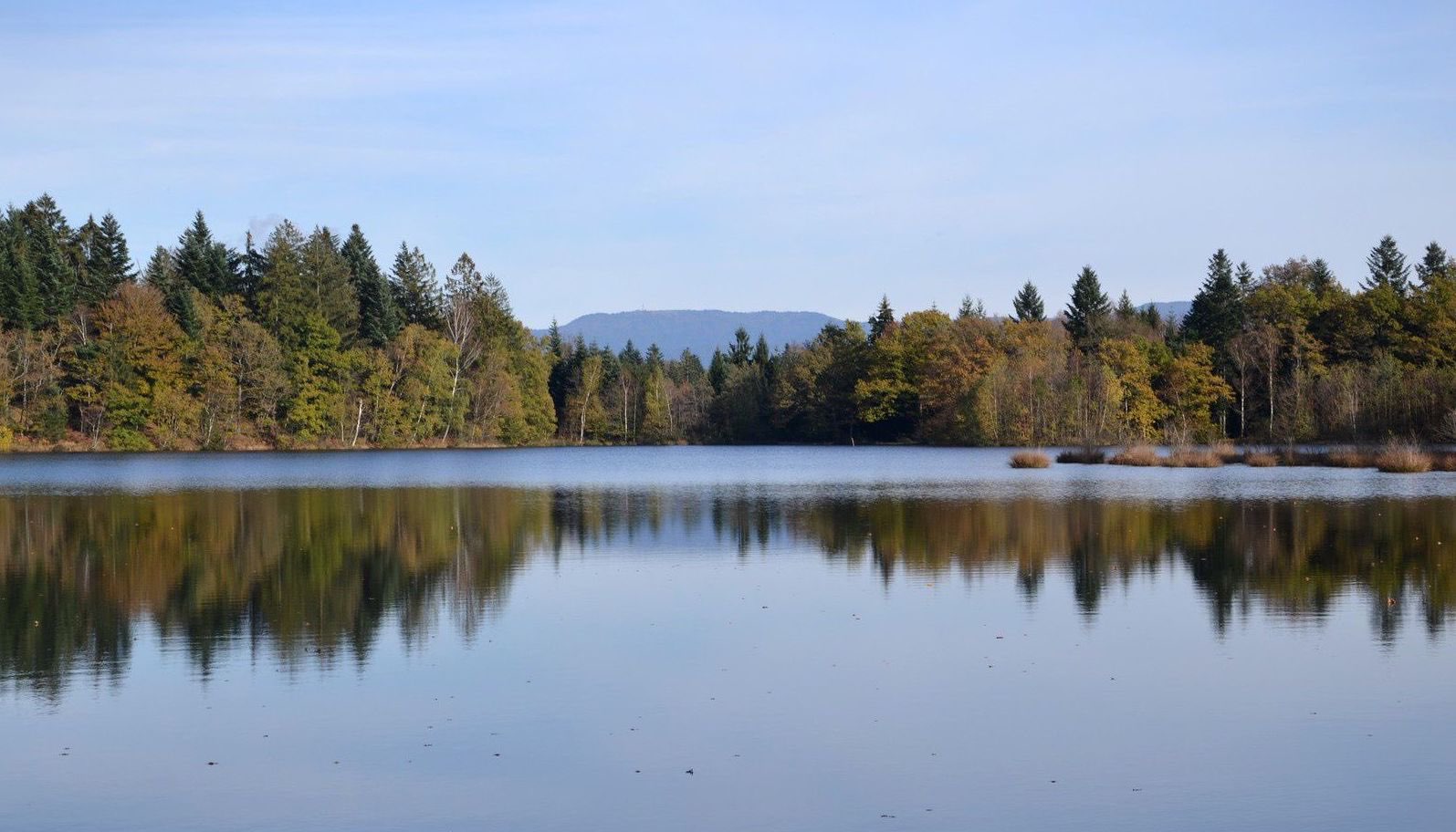 Étang de Plate Pierre