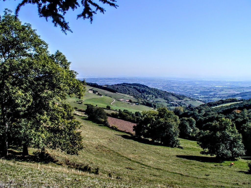 Col de la Luère from Pollionnay
