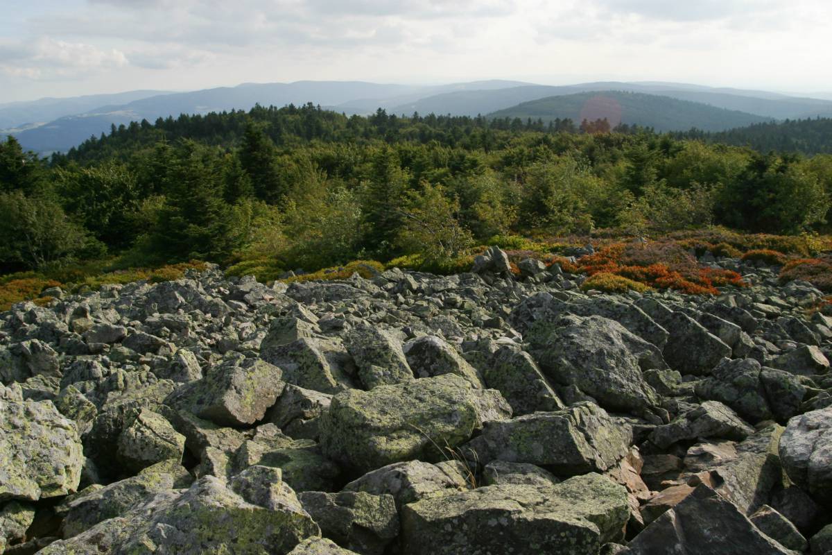 Crêt de la Perdrix from Chaubouret
