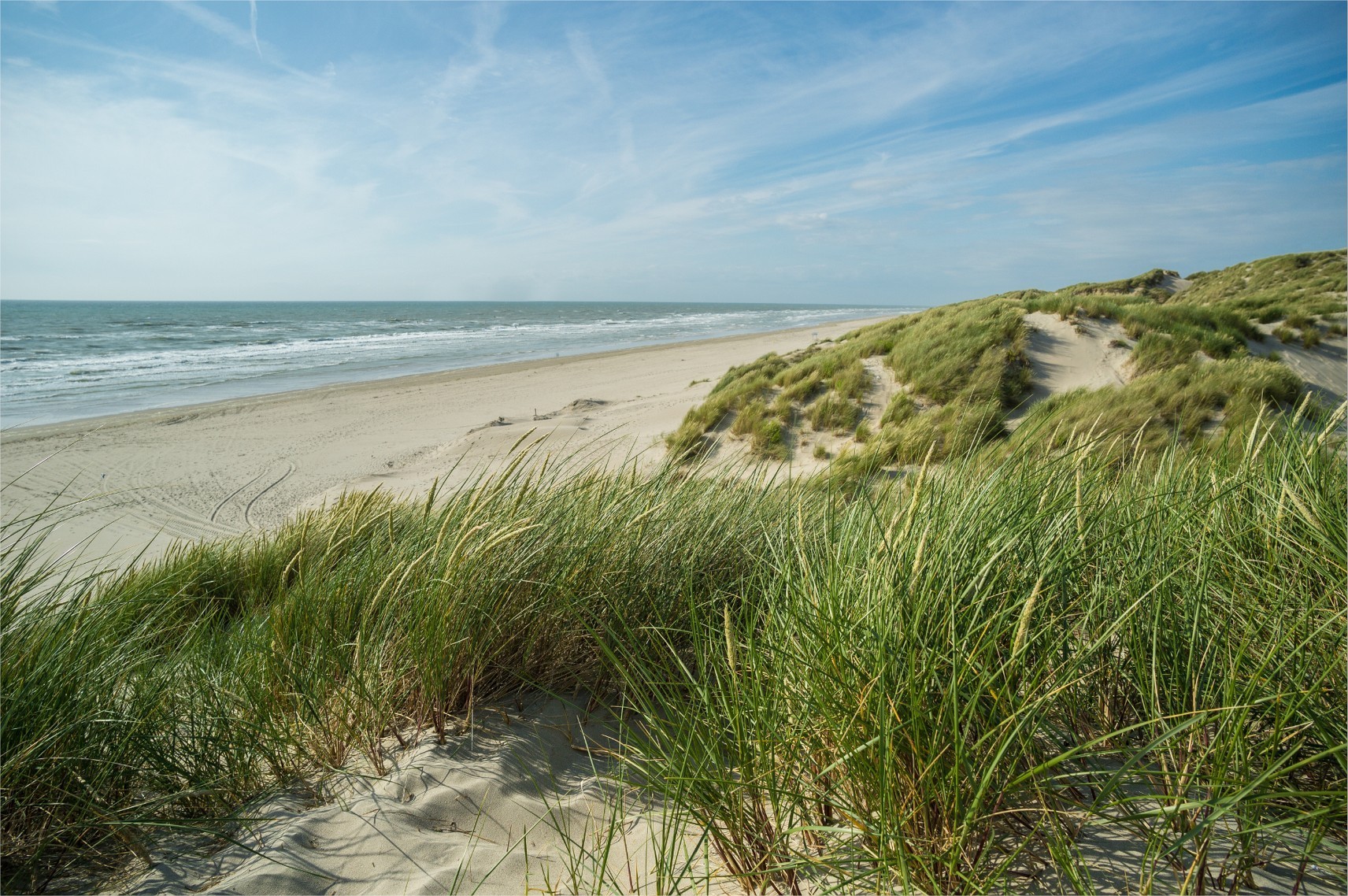 Baie d'Authie