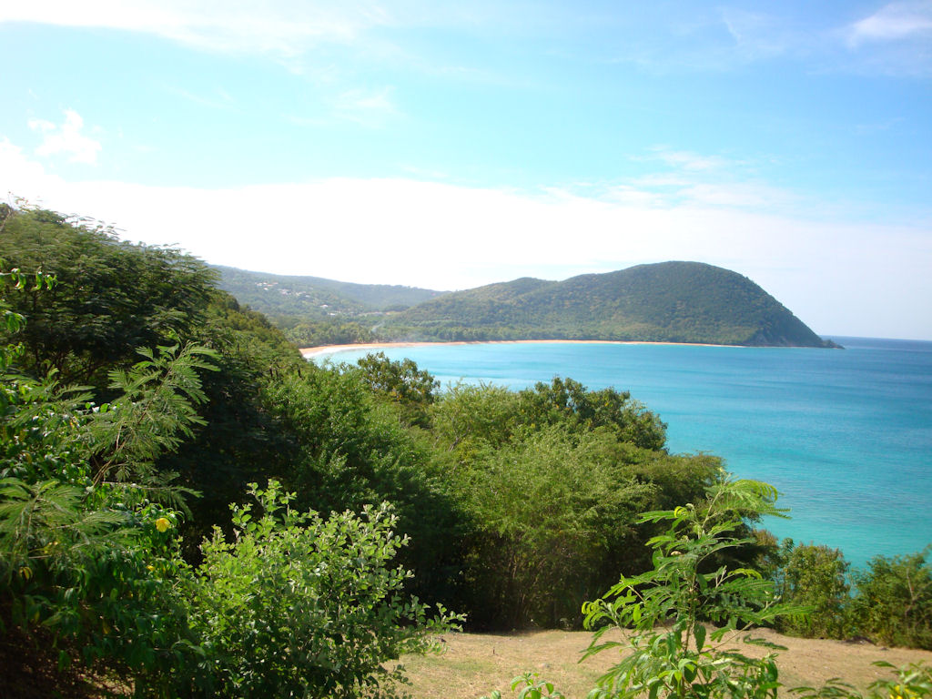 Coastline of Deshaies