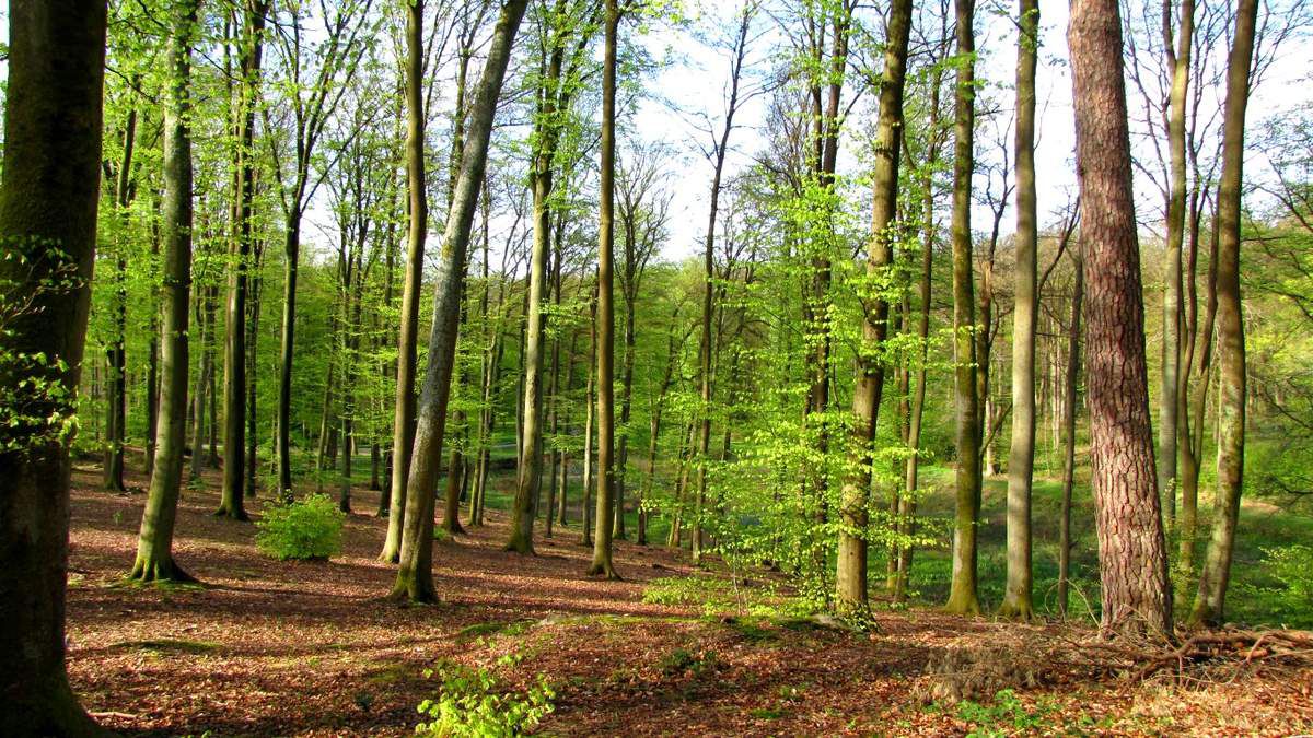 Around Villers-Cotterêts