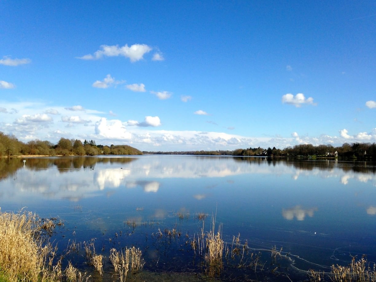 Lac de Vioreau