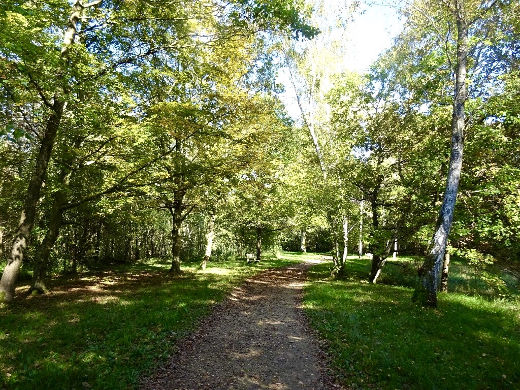 Forêt de Rougeau