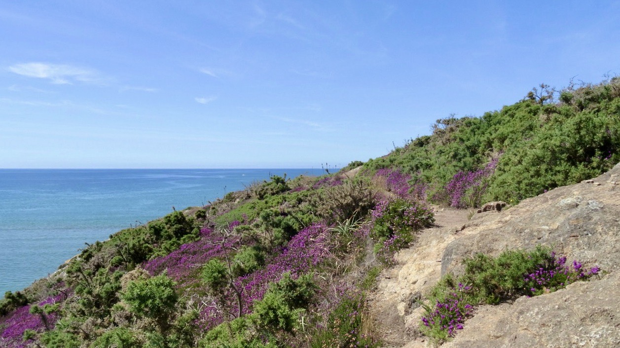 Pointe de Penquernéo