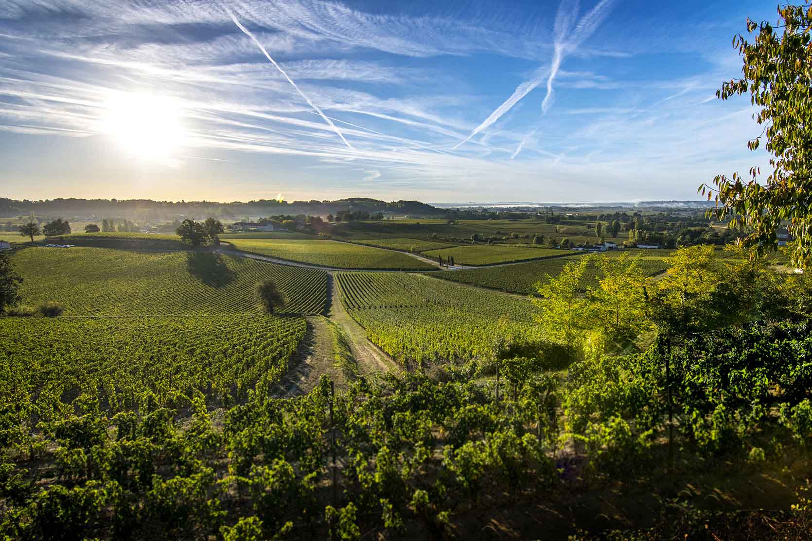 Châteaux de Saint-Émilion