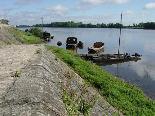 Loire and Forest