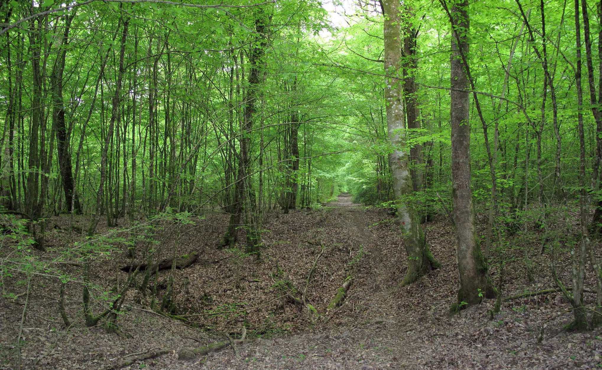 Circuit des Gouffres de Trois-Fontaines