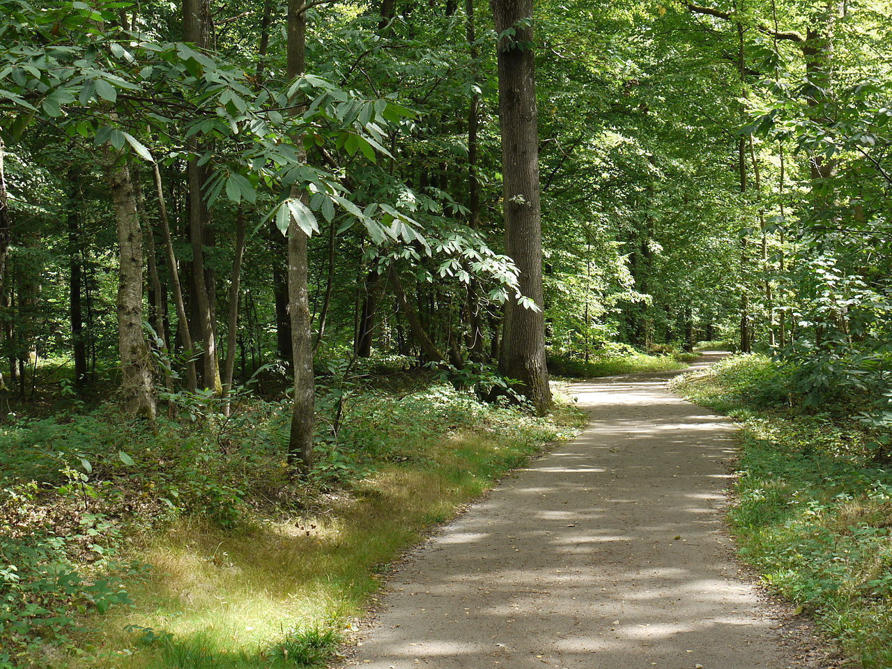 D'Émerainville à Ozoir-la-Ferrière