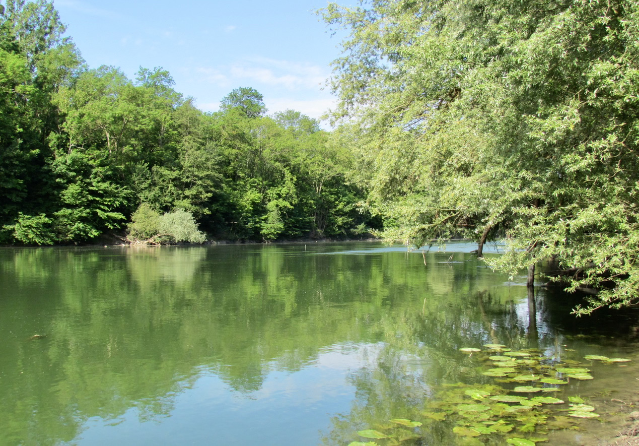 Bords de la Marne