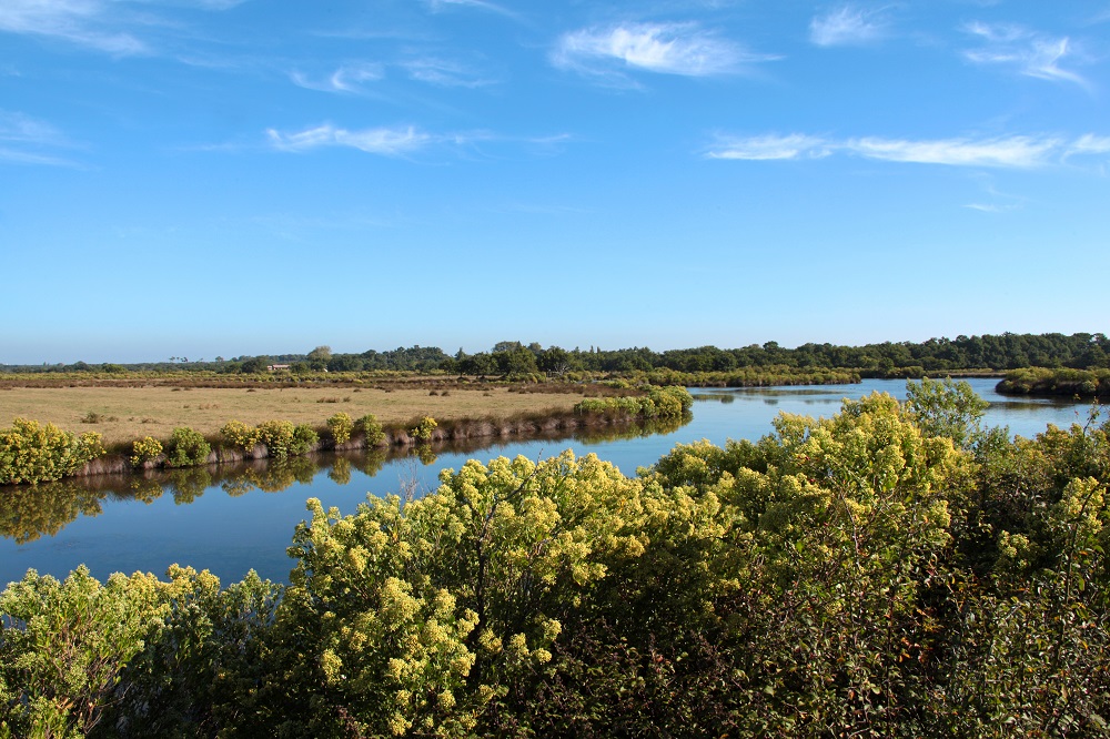 Domaine de Certes et Graveyron