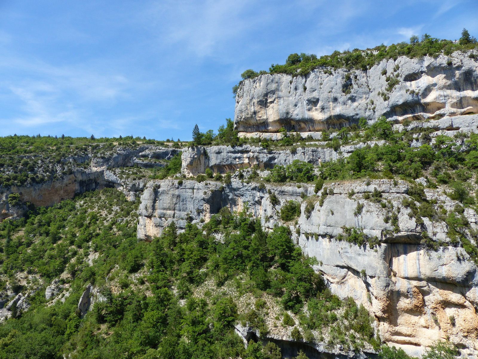 Gorges de la Nesque