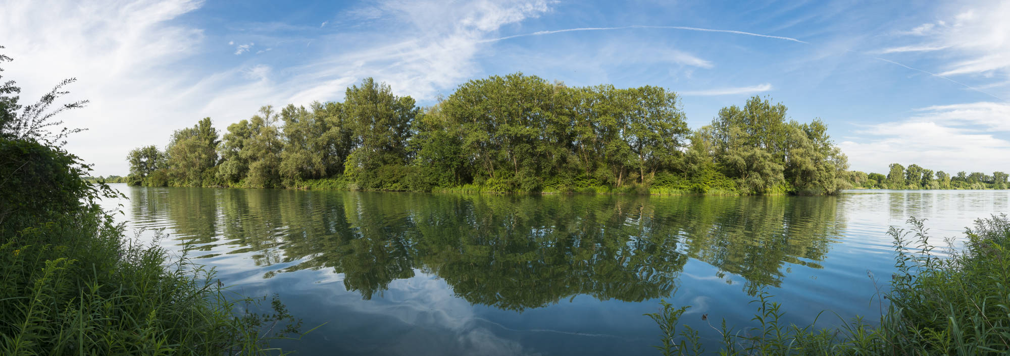 Île du Rohrschollen