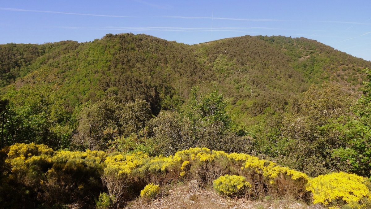 Gorges de la Daronne