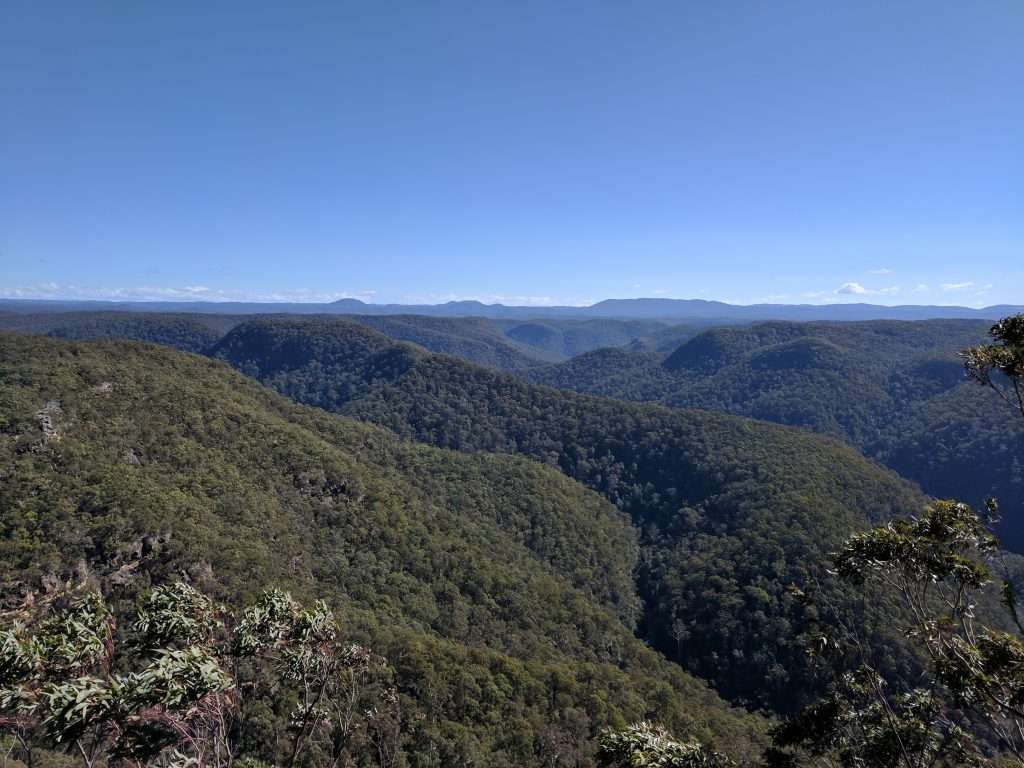 Blue Gum Swamp and Shaws Ridge Trail Loop