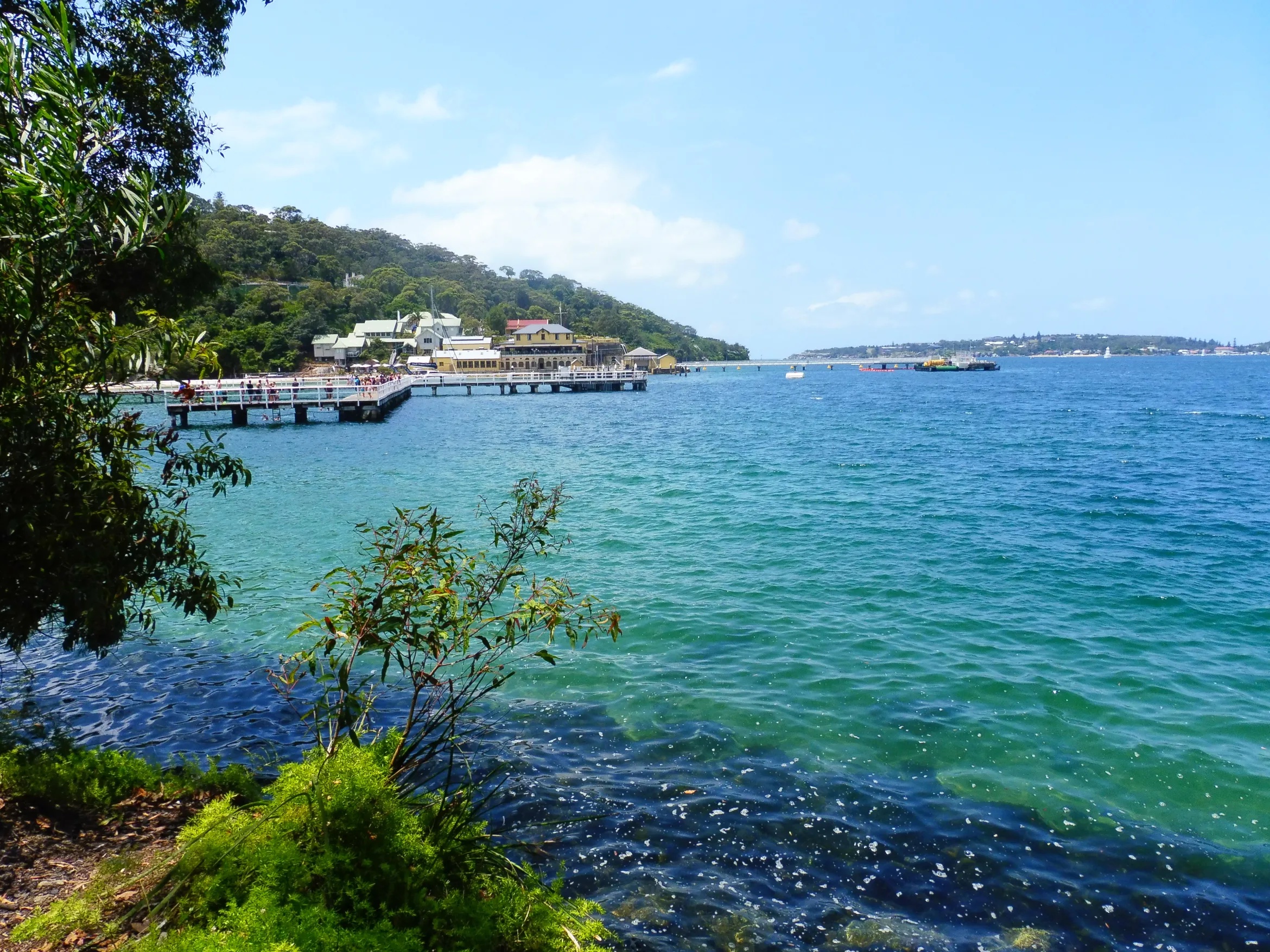 Bradleys Head to Chowder Bay Walk
