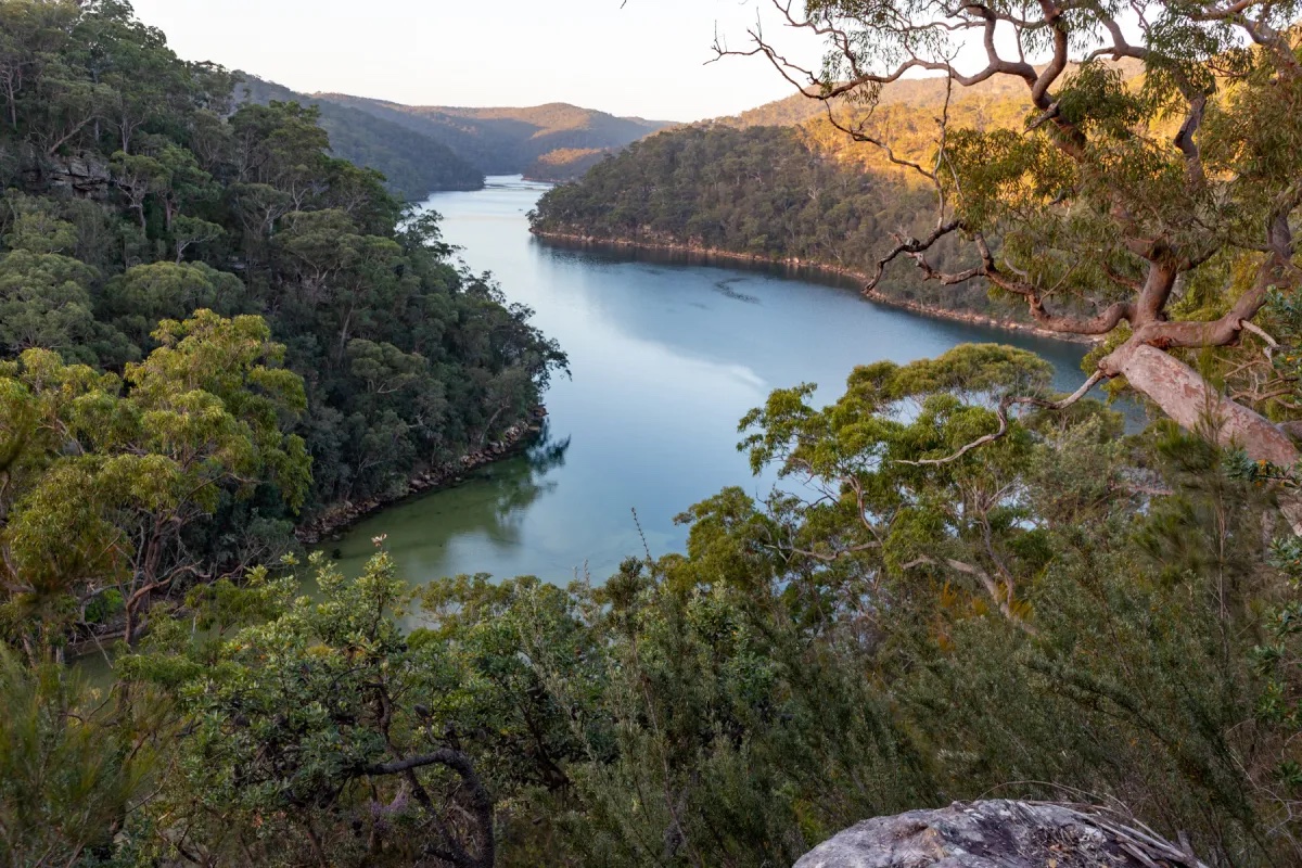 Great North Walk dans le Ku-ring-gai Chase National Park