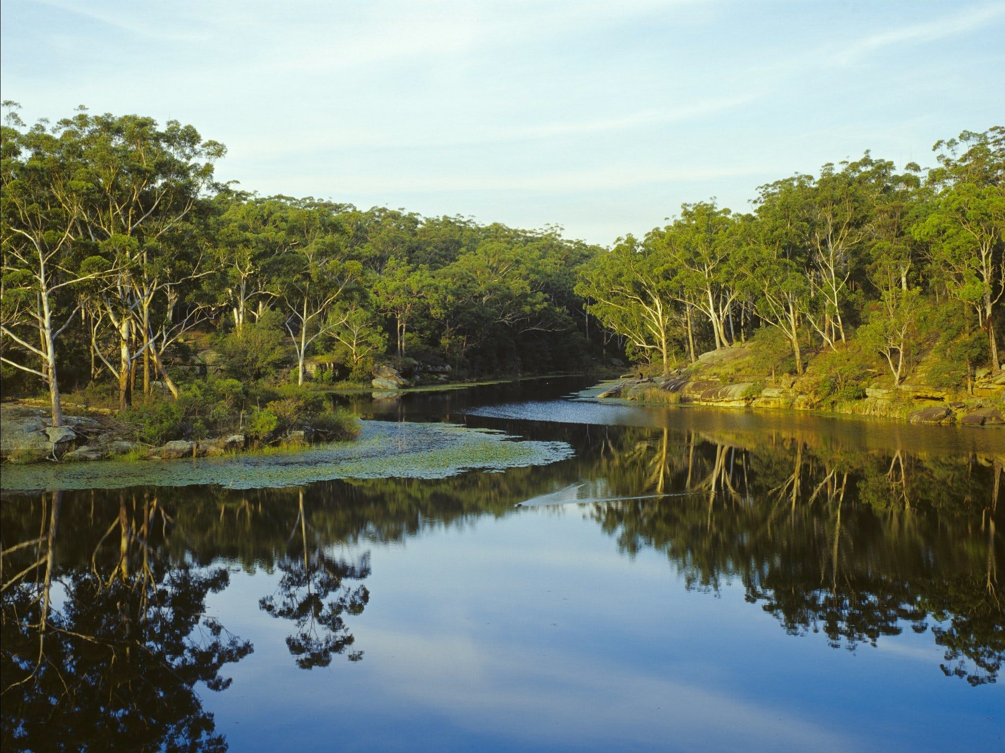 Lake Parramatta