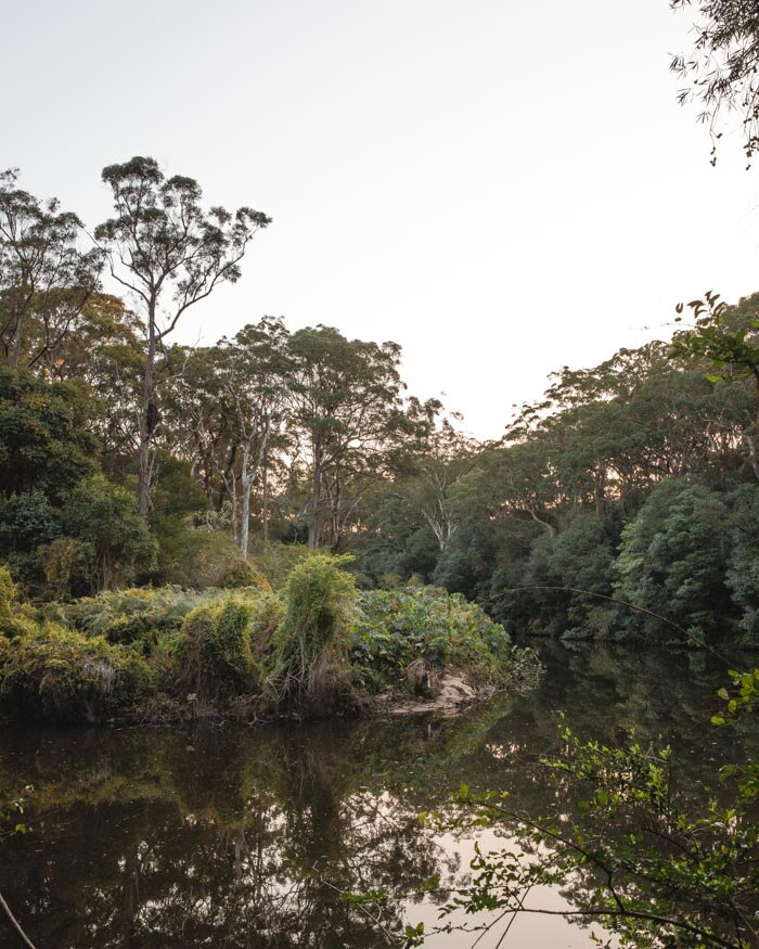 Lane Cove via Riverside Walk