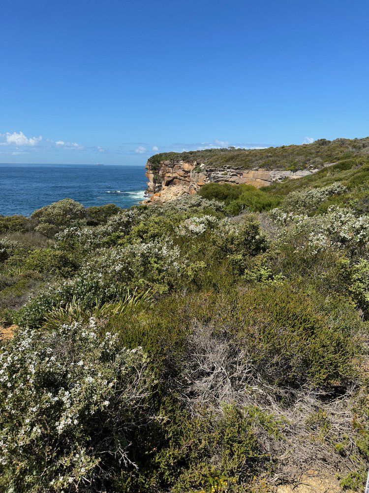 Malabar Headland Track