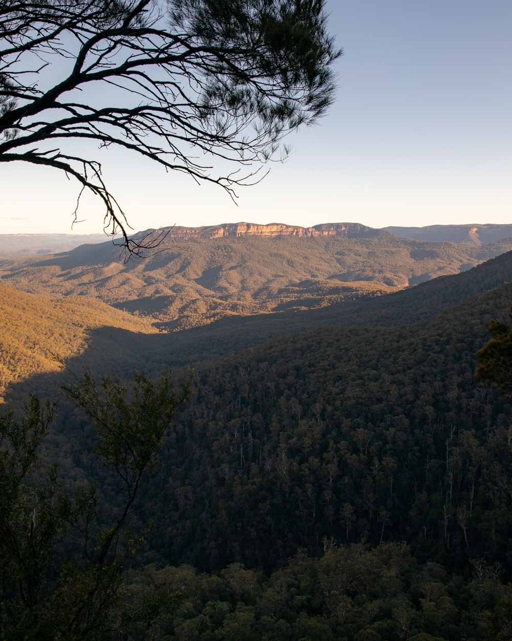 Overcliff-Undercliff Track