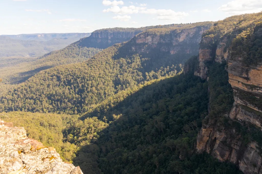 Overcliff Walk Loop Track