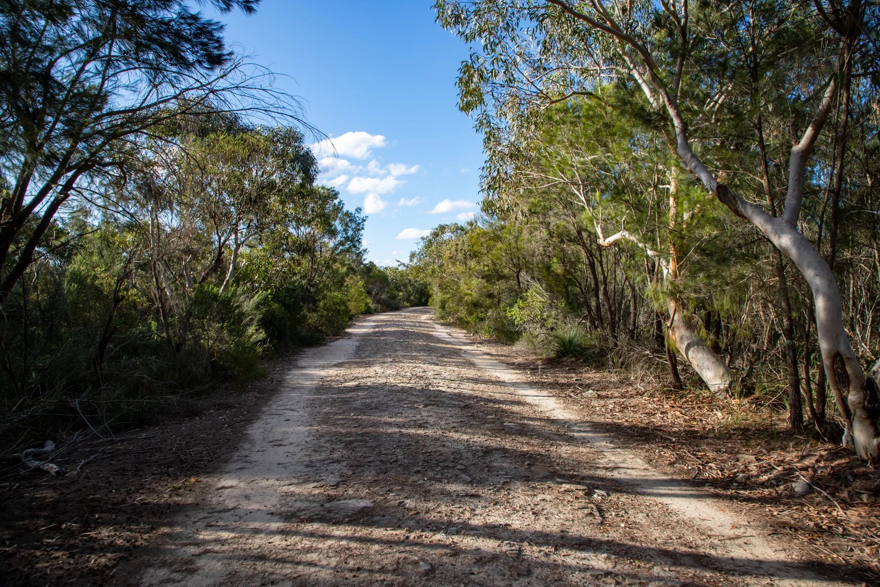 Sphinx Memorial to Bobbin Head Loop Track