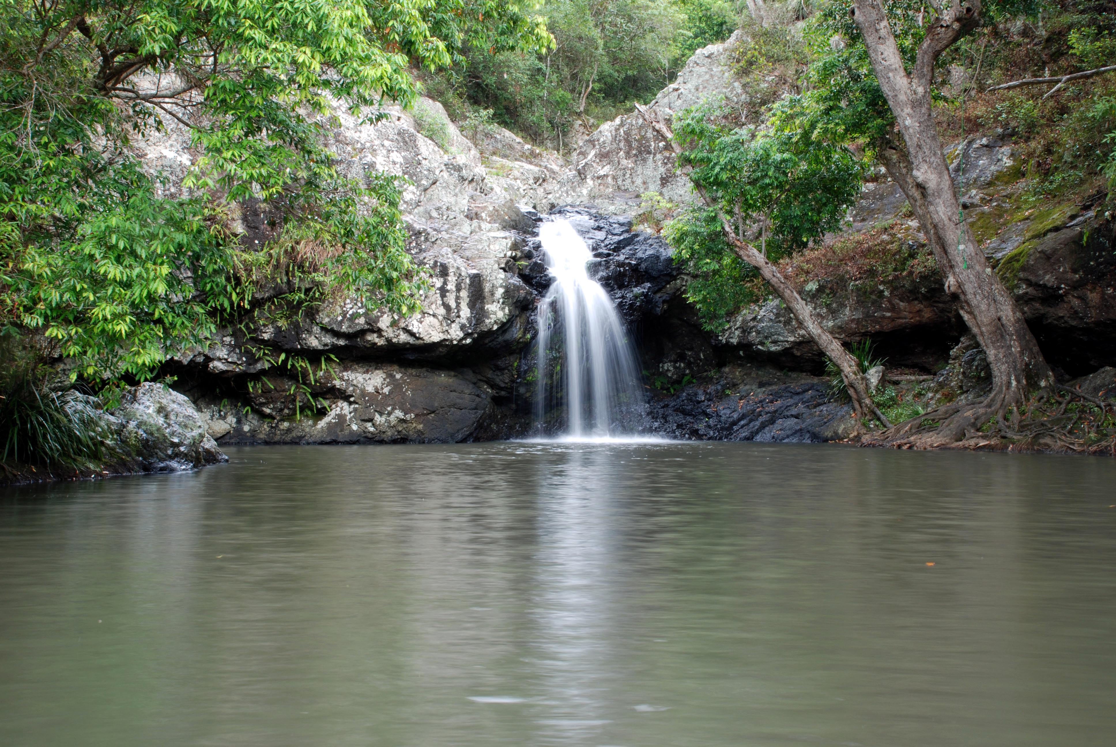 Kondalilla Falls and Picnic Creek Circuit