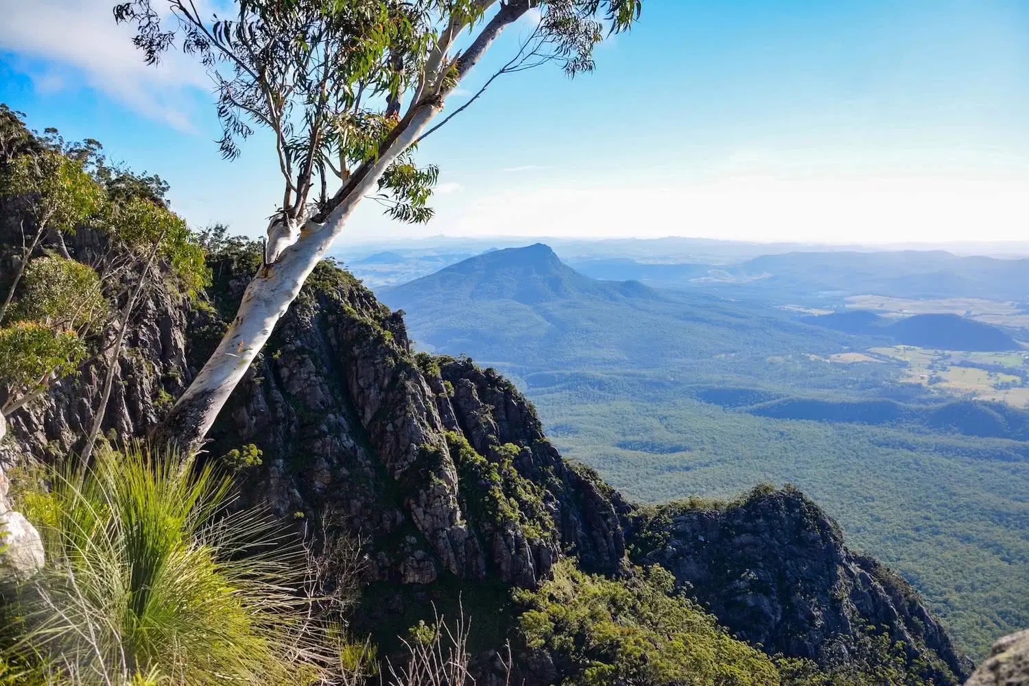 Mount Barney South East Ridge and Peasants Ridge