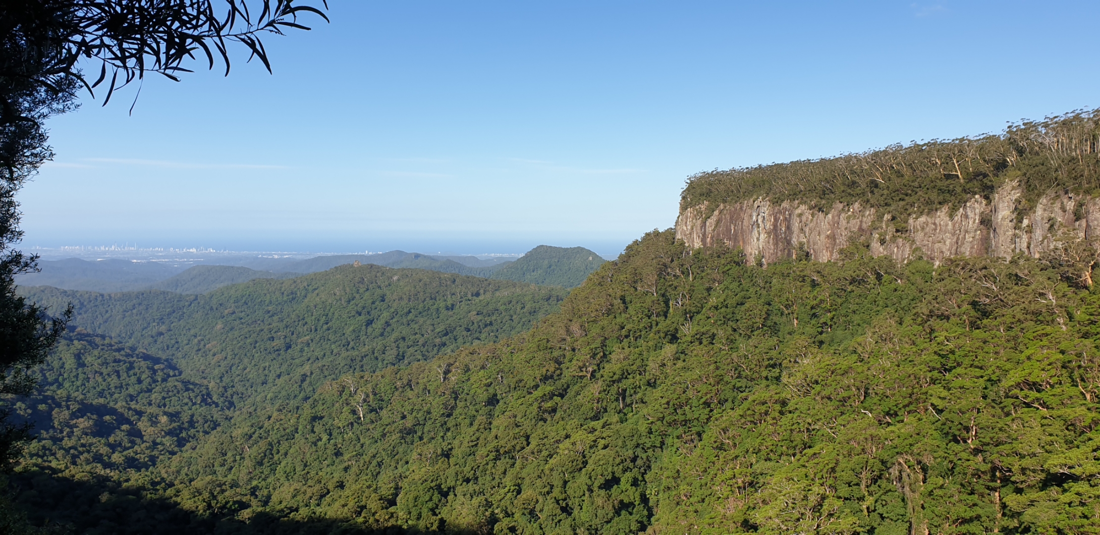 Springbrook Pinnacle Loop