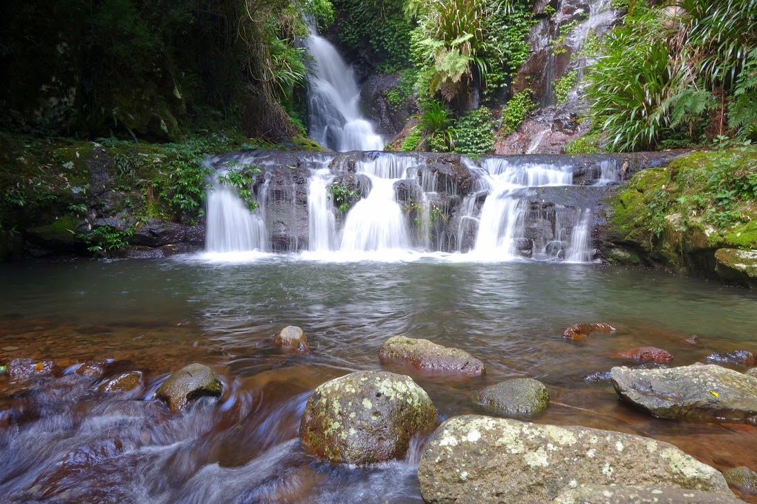 Toolona Creek Circuit