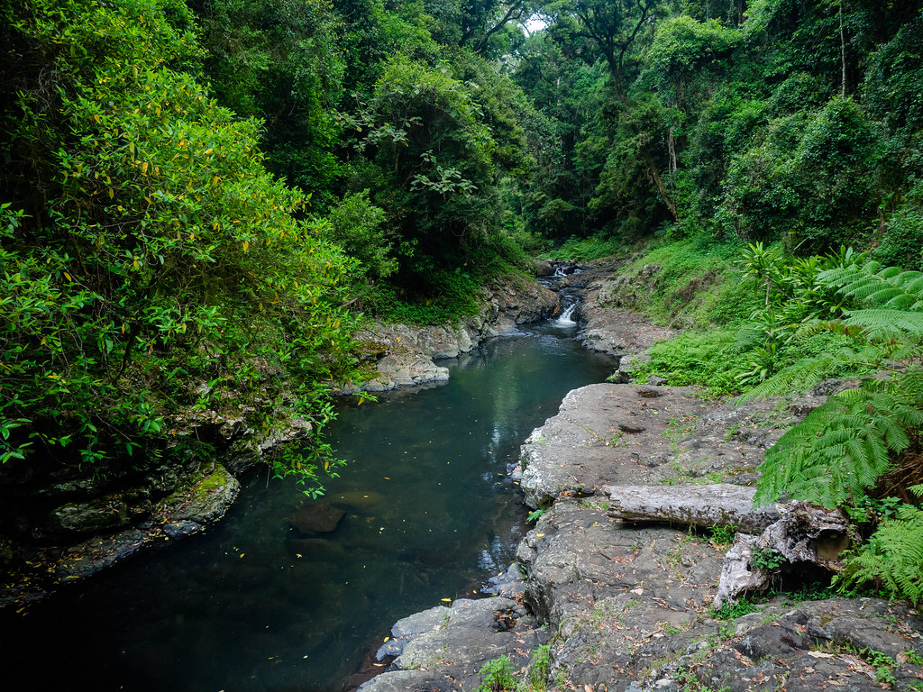 West Canungra Creek Circuit