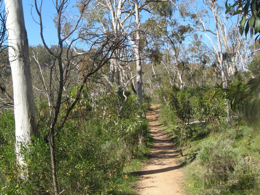 Australie-Méridionale