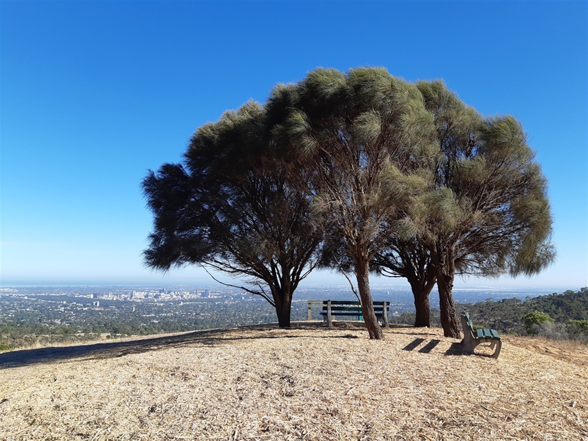 Chambers Gully et Sugarloaf Hill Trails 