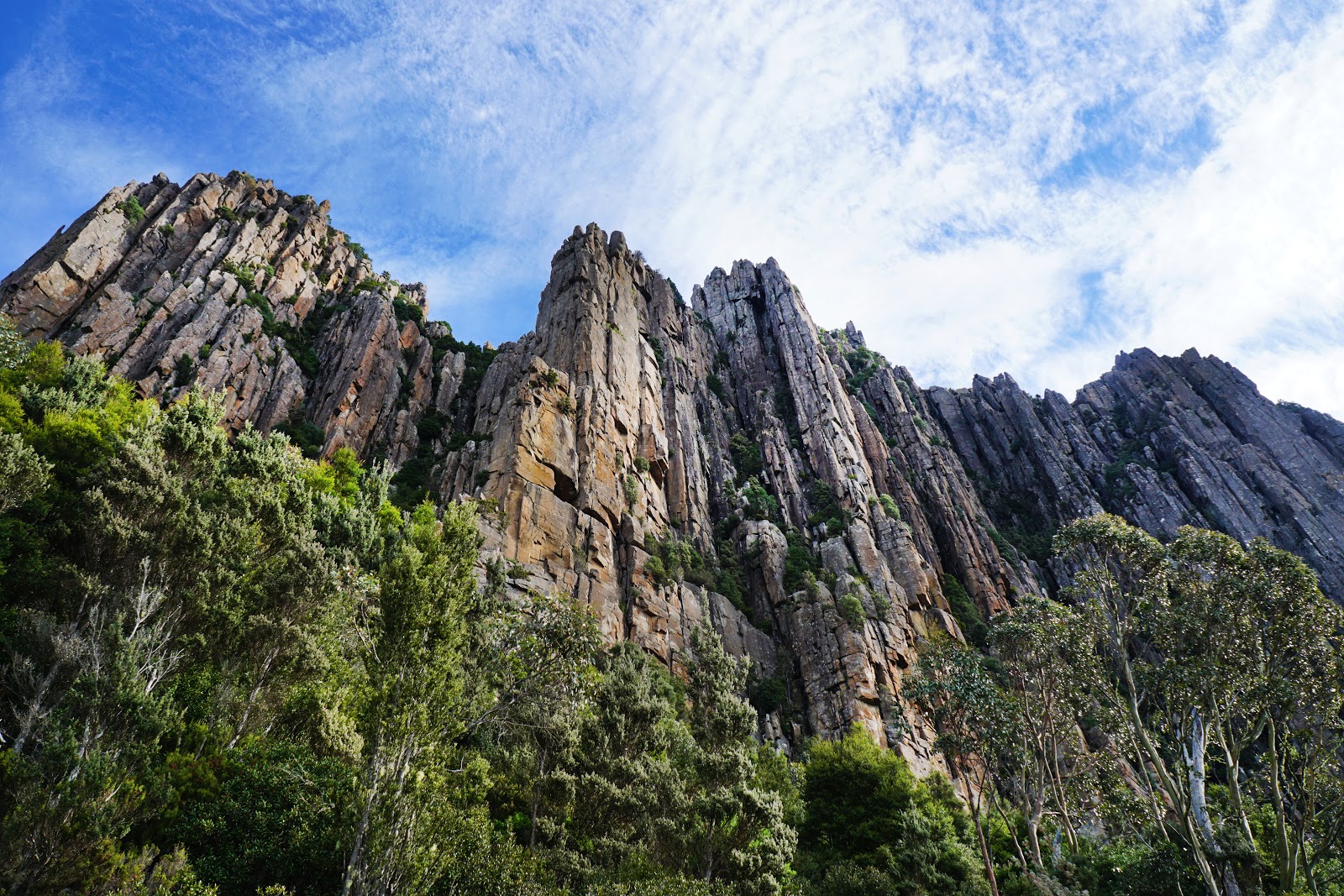 Organ Pipes and Pinnacle Track
