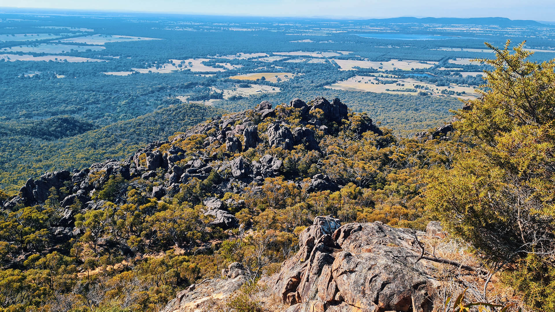 Boronia Peak
