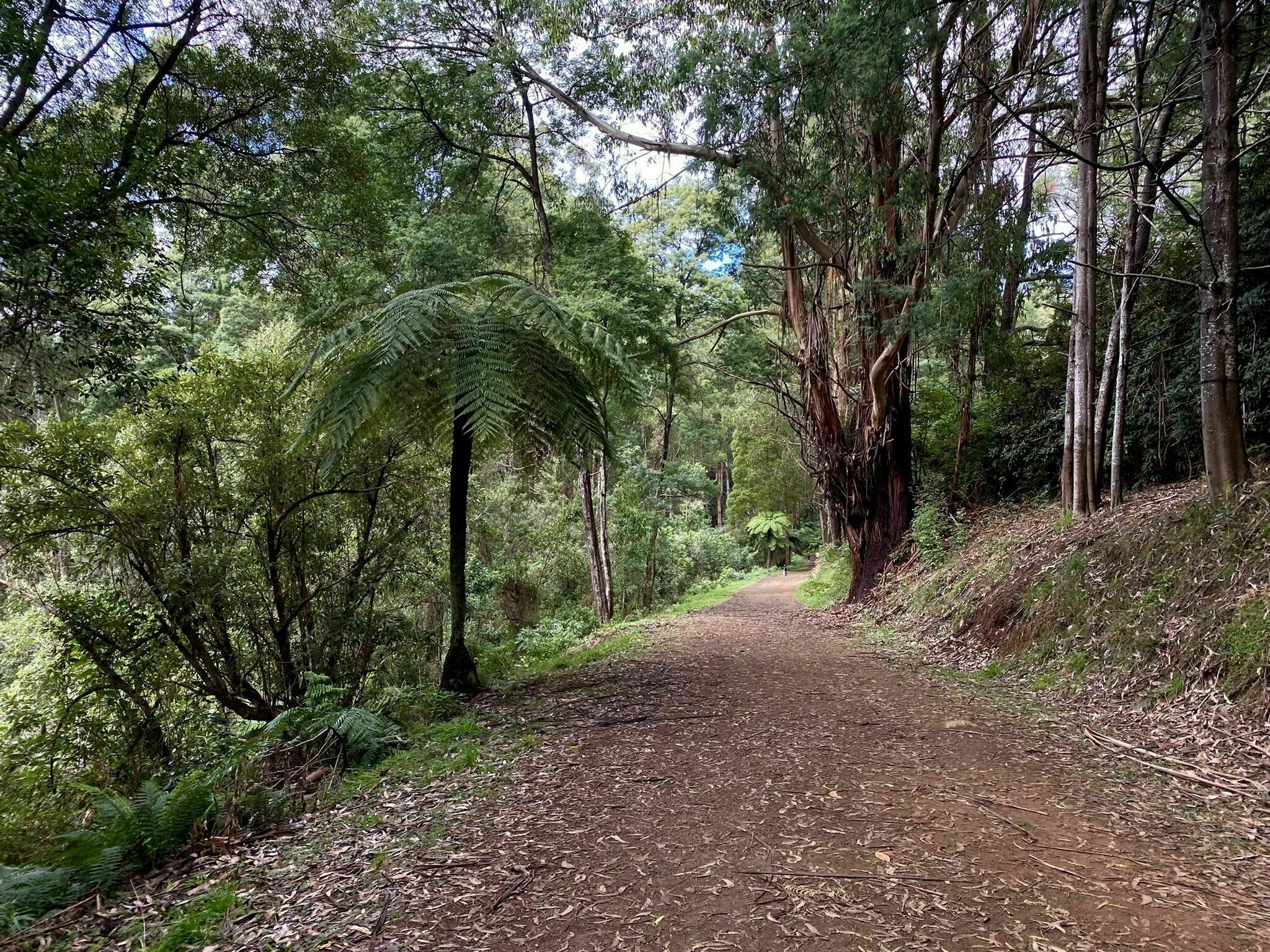 Dandenong Ranges Loop