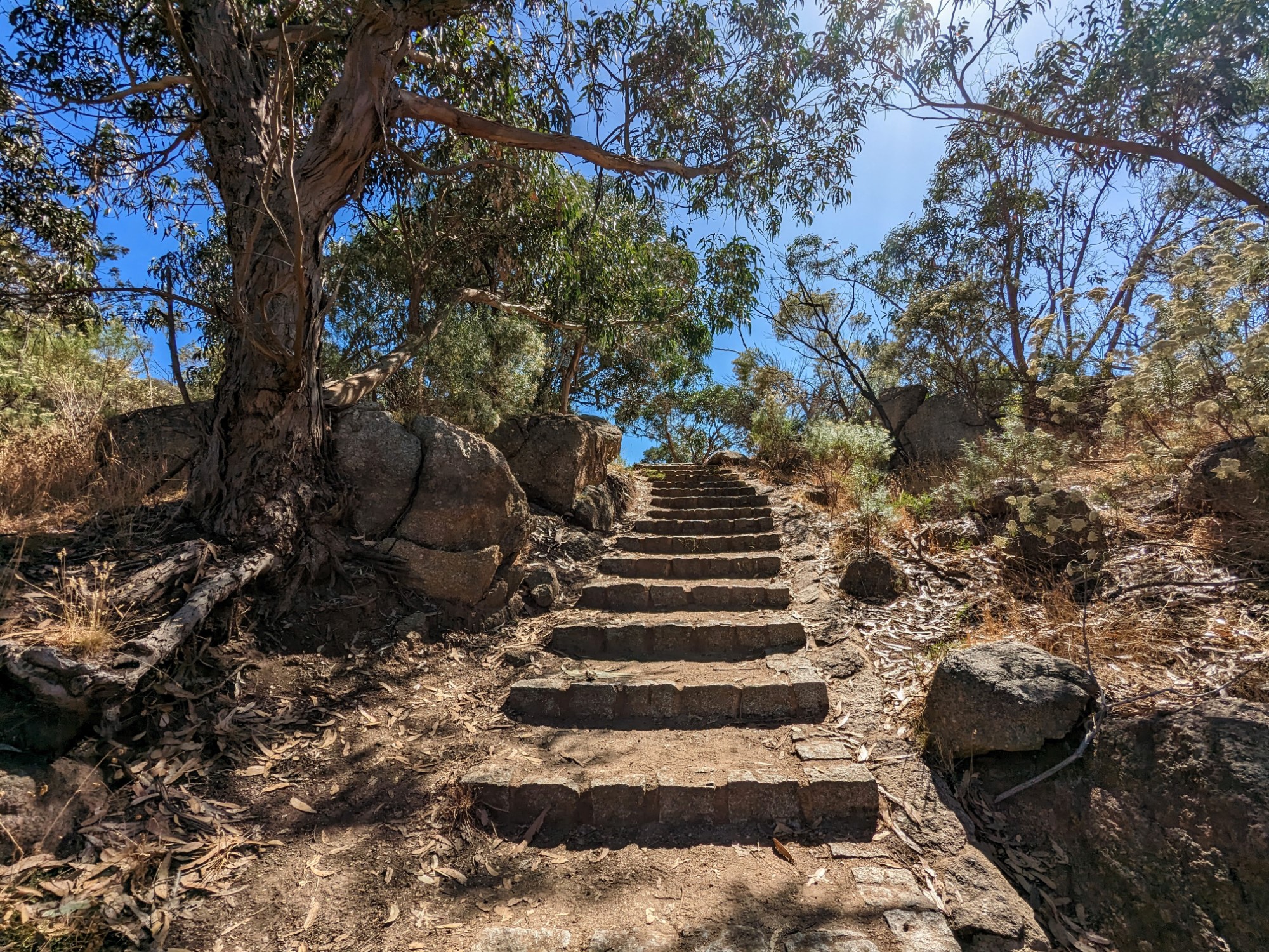 Flinders Peak Walk 