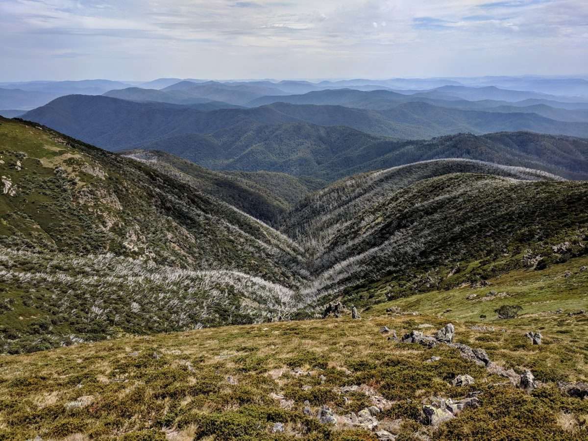Mount Bogong Loop 