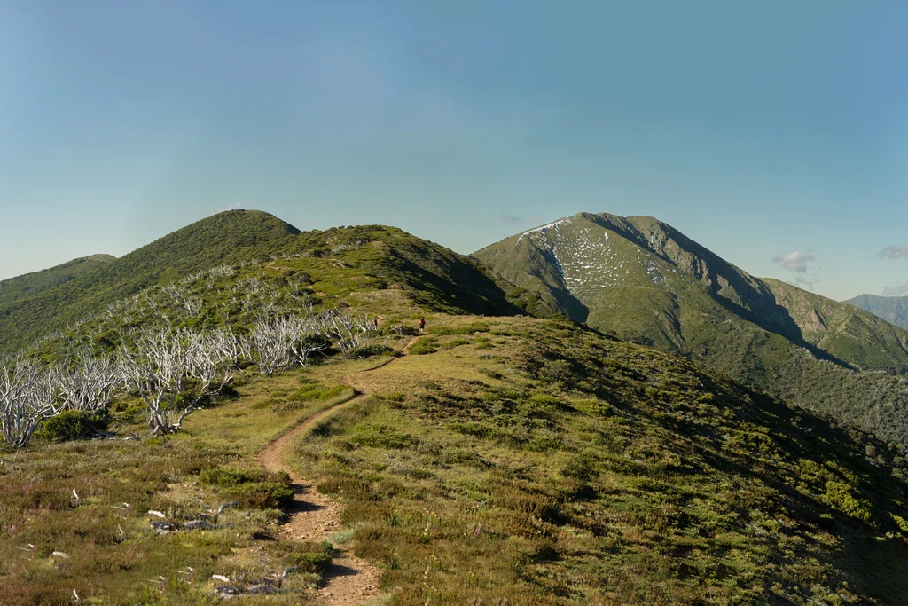 Mount Feathertop via the Razorback