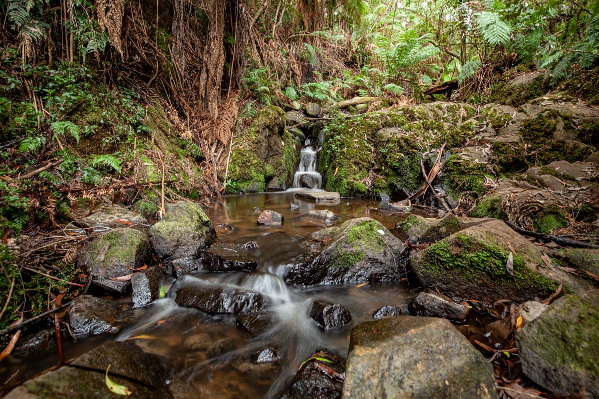Sherbrooke Falls Loop