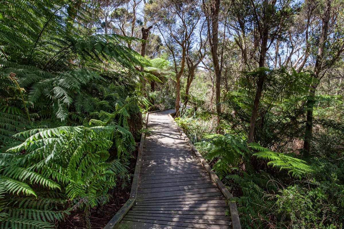 Two Bays Walking Trail to McKellar and King Falls 