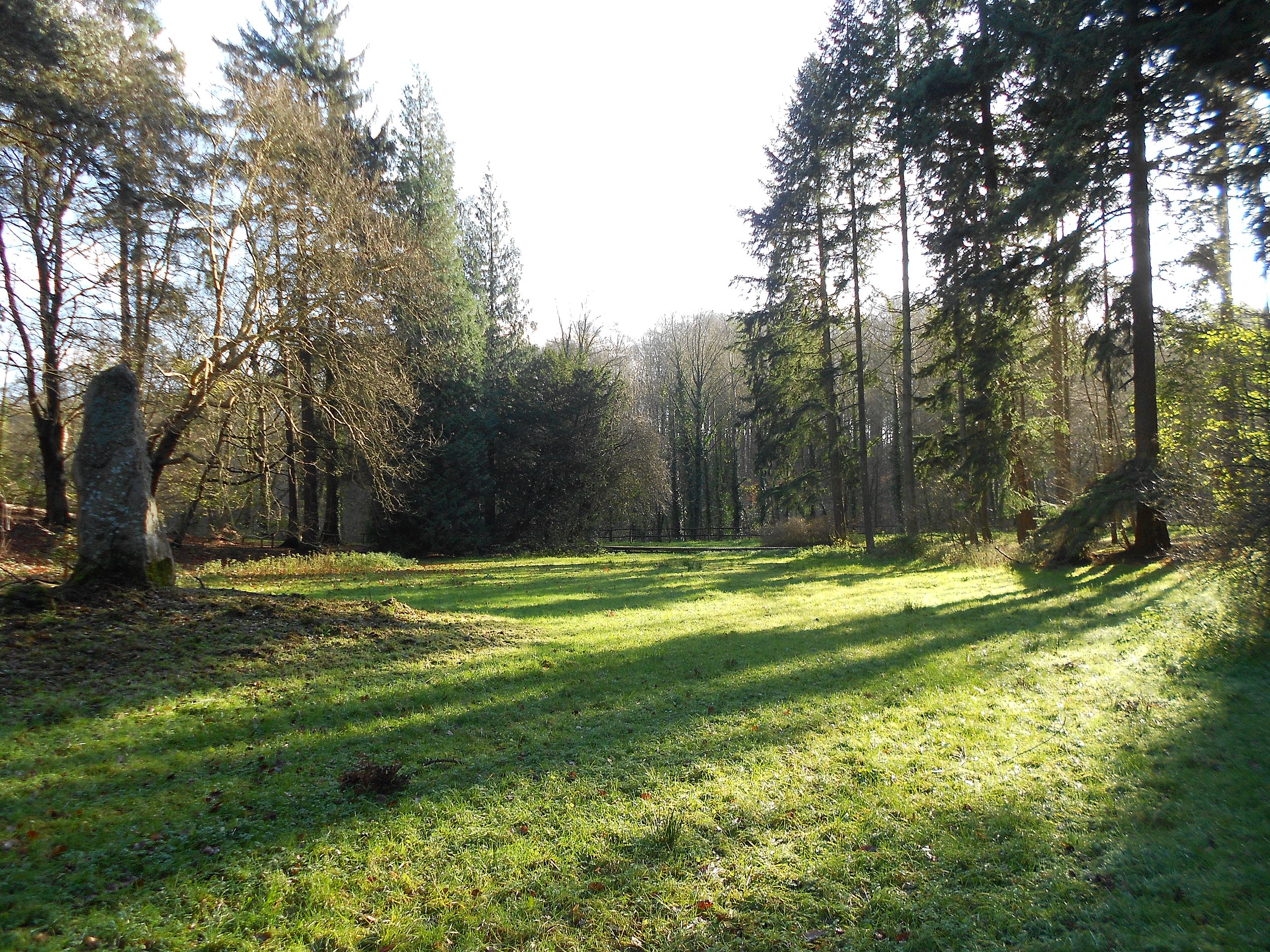 Arboretum de Groenendael